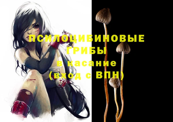 мдпв Абдулино