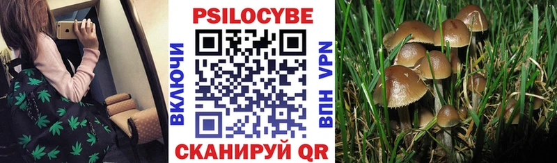 ОМГ ОМГ сайт Зеленокумск Псилоцибиновые грибы MAGIC MUSHROOMS купить наркотики сайты