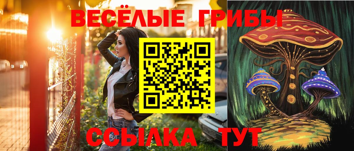 Псилоцибиновые грибы Cubensis Зеленокумск