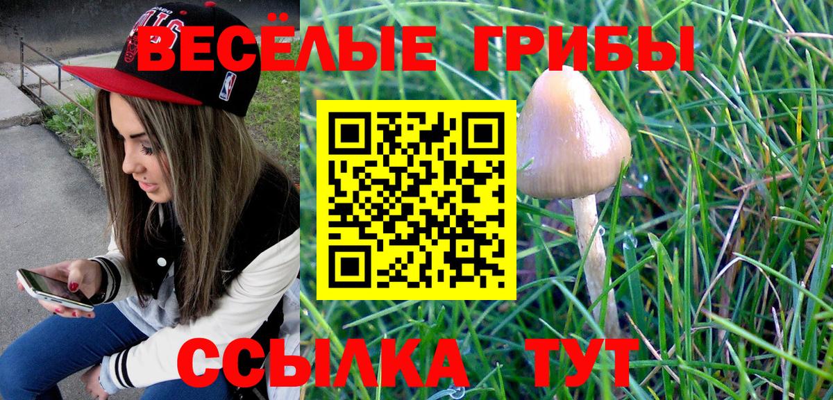 Зеленокумск  Галлюциногенные грибы мицелий  Вход с VPN 